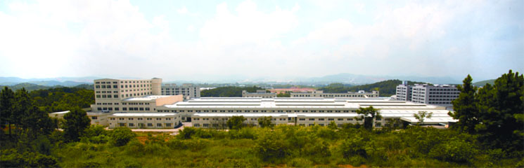 全景图